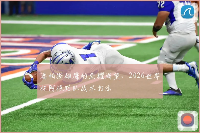 潘帕斯雄鹰的荣耀渴望，2026世界杯阿根廷队战术打法