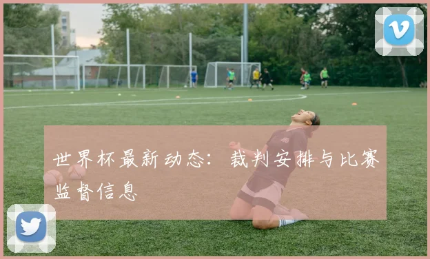 世界杯最新动态：裁判安排与比赛监督信息