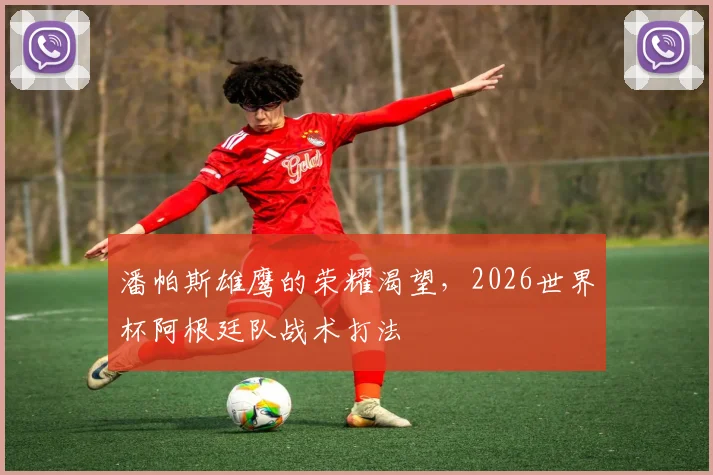 潘帕斯雄鹰的荣耀渴望,2026世界杯阿根廷队战术打法