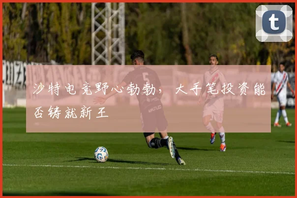 沙特电竞野心勃勃，大手笔投资能否铸就新王