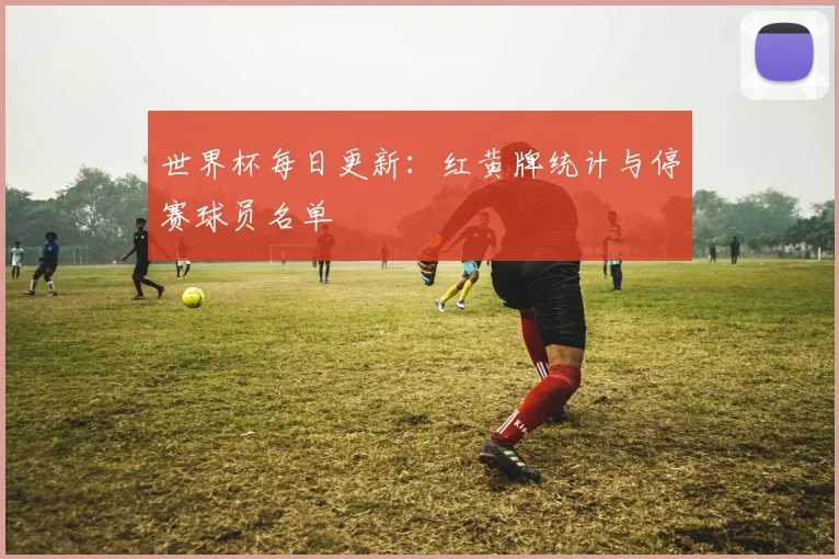 世界杯每日更新：红黄牌统计与停赛球员名单